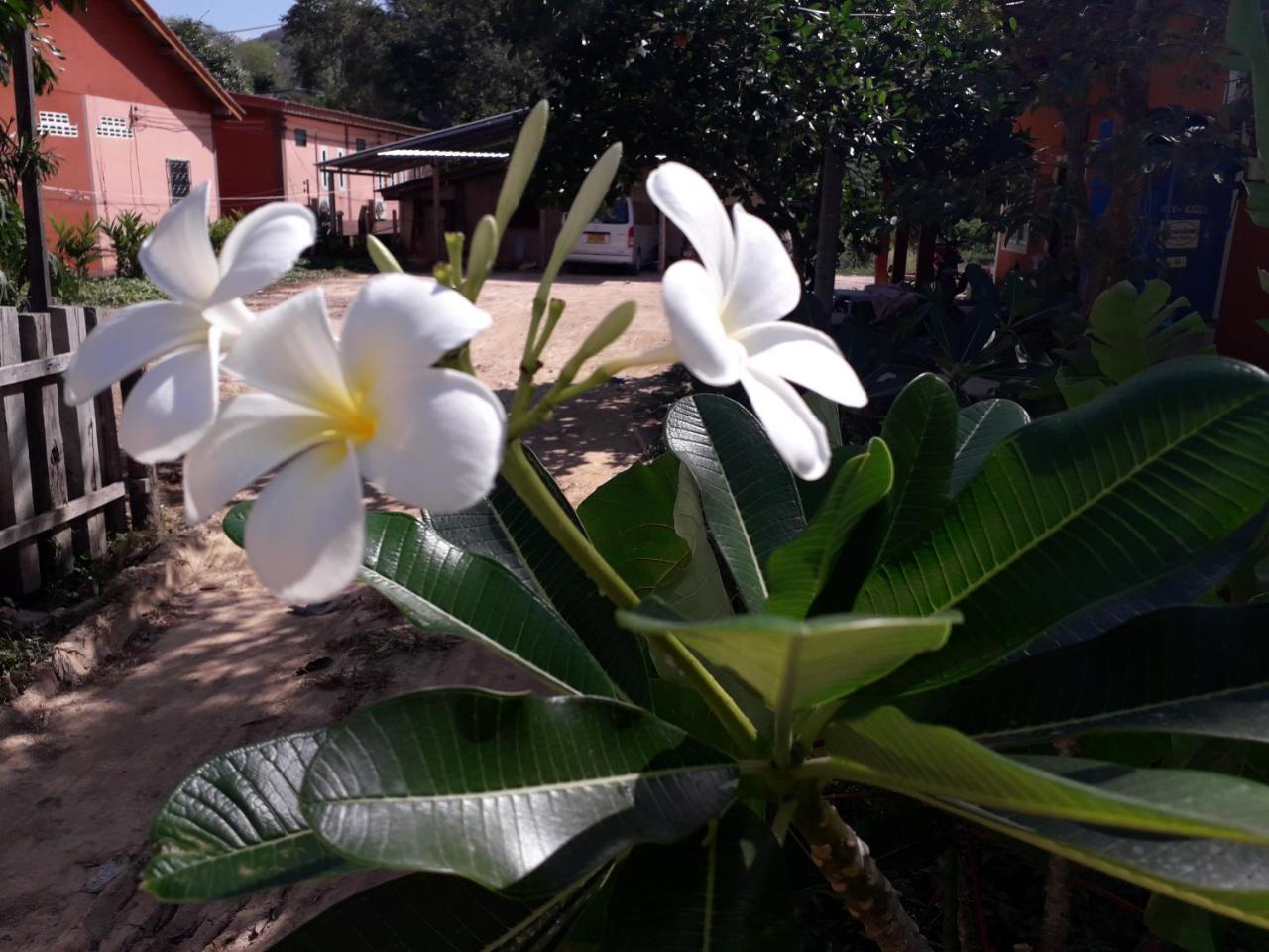 Lanta Lucky House Hotel Koh Lanta Exterior photo